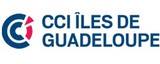cci guadeloupe